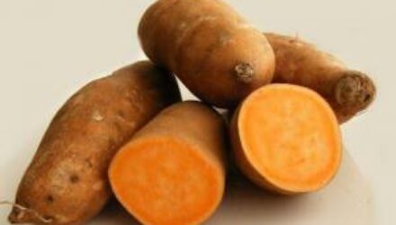 Шесть суперпродуктов