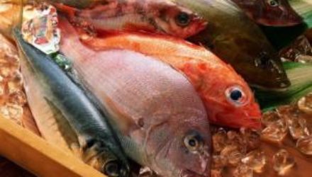 Ртуть в морепродуктах может вызывать аутоиммунные заболевания у женщин репродуктивного возраста