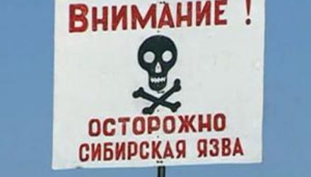 Чиновник рассказал, как избежать заражения опасной болезнью