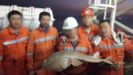 В Каспийском море выловили неизвестное существо