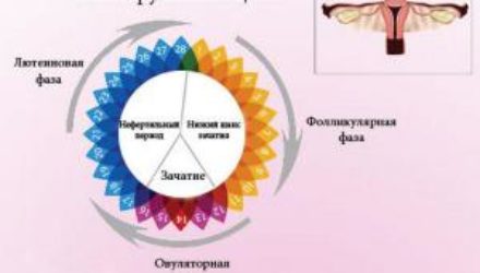 Как определить начало овуляции в домашних условиях?