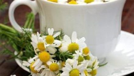 Лечение кондилом: советы