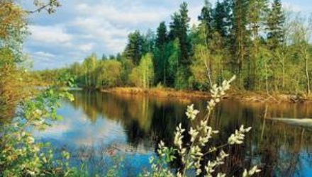 Пеший туризм укрепляет здоровье