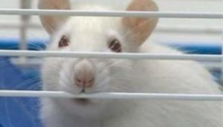 За 5 лет до диагноза рак мозга видны изменения в крови
