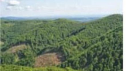 На Закарпатье пройдут оригинальные фестивали