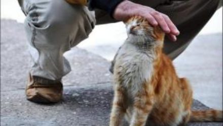 7 привычек на 7 дней, которые изменят вашу жизнь навсегда