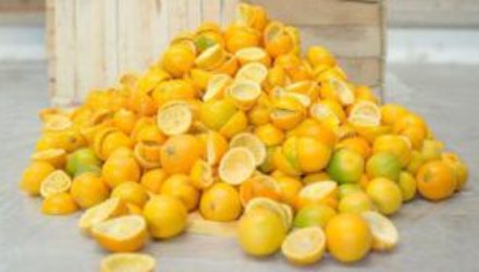 Шведы создали целлофан из апельсинов