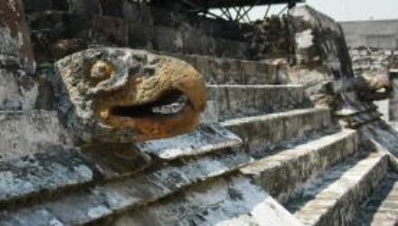 В Мехико найдены принесенные в жертву ягуар и мальчик