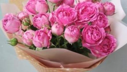 Какие цветы дарить девушке на 8 Марта по знаку зодиака