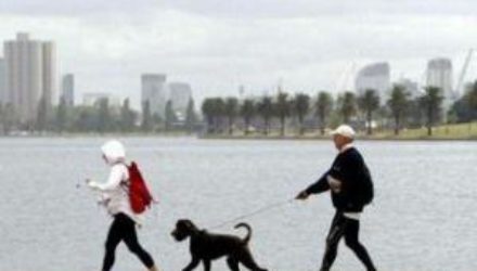 Спортзал можно заменить прогулками с собакой