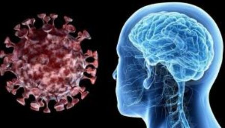 Почему коронавирус вызывает туман в голове