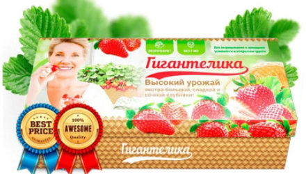 Клубника Гигантелика  — 18 отзывов (развод или правда): реальные и отрицательные мнения покупателей и специалистов, где купить, цена, инструкция по применению