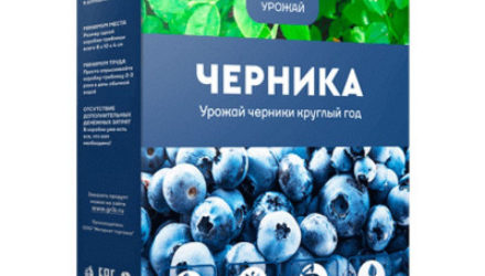 Чудо-ягодница Черника  — 18 отзывов (развод или правда): реальные и отрицательные мнения покупателей и специалистов, где купить, цена, инструкция по применению