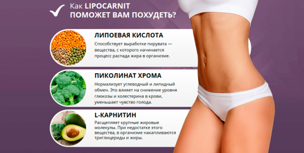 
Lipocarnit – средство для похудения 