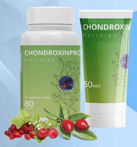 
ChondroxinPro Meridian капсулы и крем для суставов, отзывы 