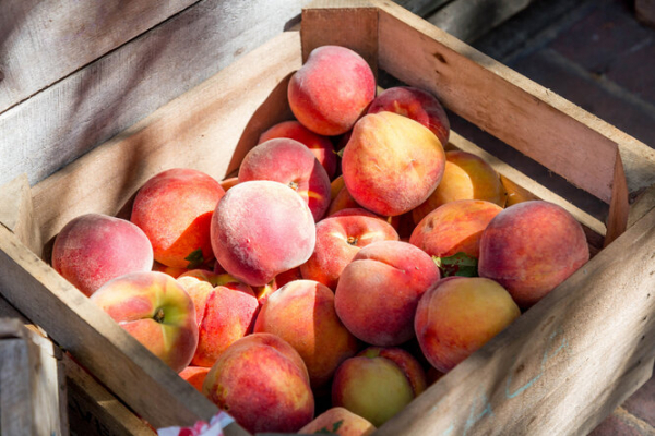 Персики: сезонный продукт для здоровья и хорошего настроения