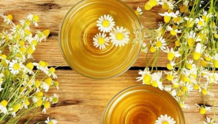 Чай из ромашки снизит уровень глюкозы и даже предотвратит развитие диабета