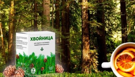 Как повысить свой иммунитет. Хвойница  — 18 отзывов (развод или правда): реальные и отрицательные мнения покупателей и специалистов, где купить, цена, инструкция по применению