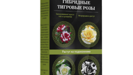 Тигровые розы — особенности и характеристика, отзывы  — 18 отзывов (развод или правда): реальные и отрицательные мнения покупателей и специалистов, где купить, цена, инструкция по применению