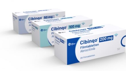 Cibinqo — инструкция по применению  — 18 отзывов (развод или правда): реальные и отрицательные мнения покупателей и специалистов, где купить, цена, инструкция по применению