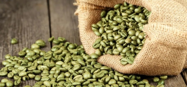 
Как зеленый кофе помогает похудеть 