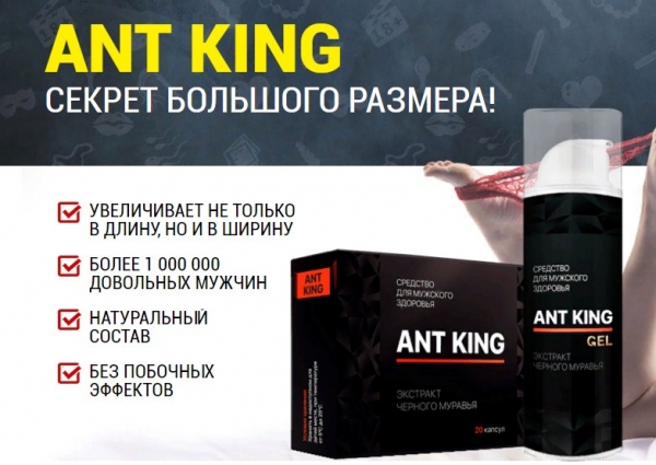 
Ant King 