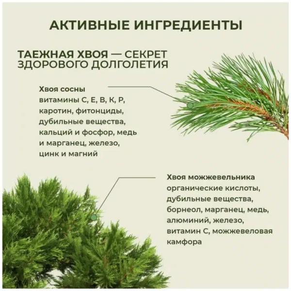  Хвойница порошок для омоложения 