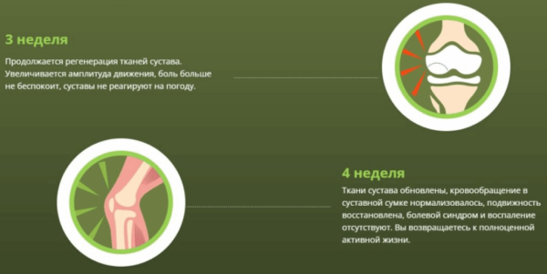 
				Монастырская травница — мазь для лечения суставов			