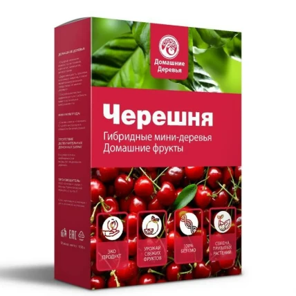
				Черешня — набор для выращивания мини-дерева			