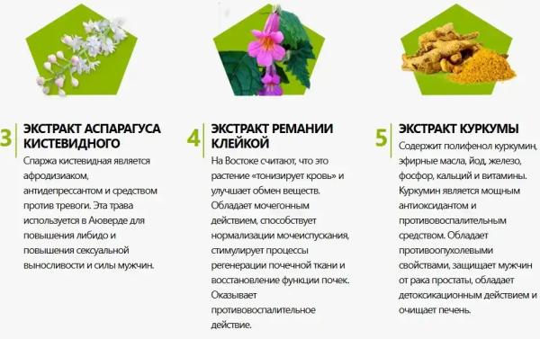 
				Салютем Про (Salutem Pro) для мужчин			