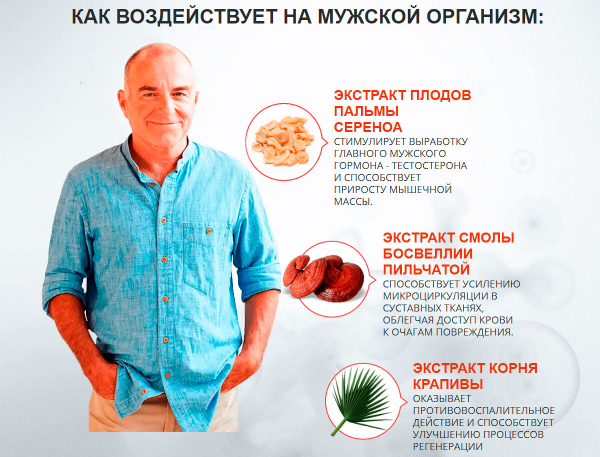 Урофлексен избавит от хронического простатита
Урофлексен избавит от хронического простатита