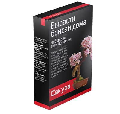 Бонсай — набор для выращивания дерева
Бонсай — набор для выращивания дерева