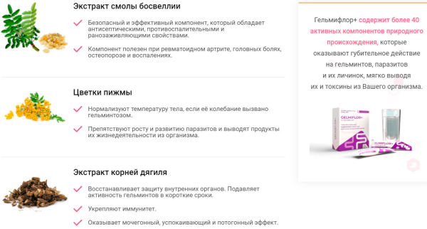 
				Гельмифлор — новый противоглистный препарат			