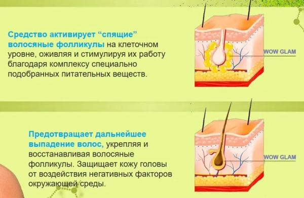 Wow Glam — ампулы для волос
Wow Glam — ампулы для волос