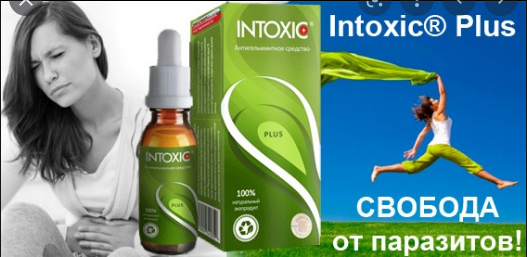 Intoxic Plus: Комплексная поддержка для здоровья пищеварения и чистоты организма — Фото 8