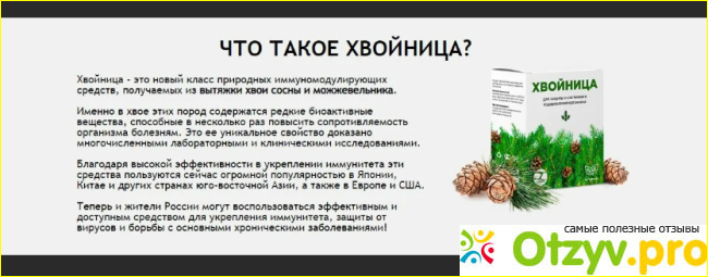 Хвойница - порошок для омоложения — обзор и инструкция по применению — Фото 2