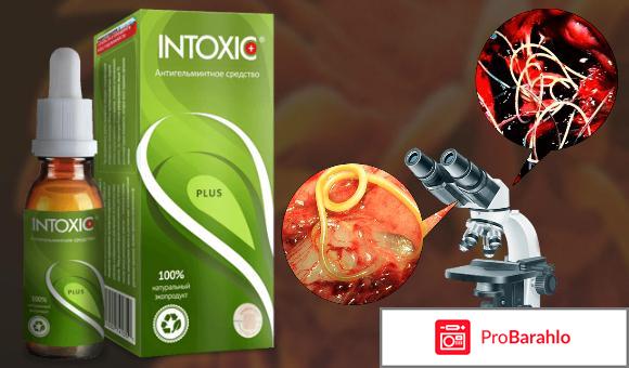 Intoxic Plus: Комплексная поддержка для здоровья пищеварения и чистоты организма — Фото 6