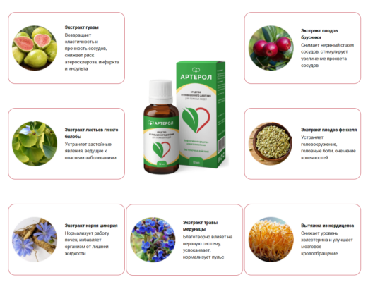 Артерол - капли от гипертонии — обзор и инструкция по применению — Фото 4