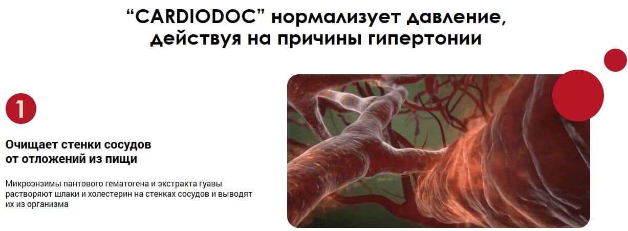 Cardiodoc: Подробный обзор для поддержания здоровья сердца и сосудов — Фото 4