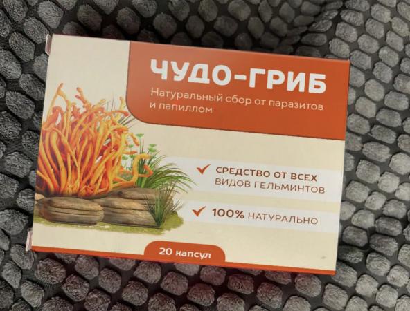 Чудо-Гриб - капсулы от паразитов — обзор и инструкция по применению — Фото 2