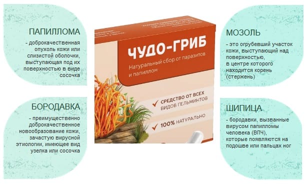 Чудо-Гриб - капсулы от паразитов — обзор и инструкция по применению — Фото 5