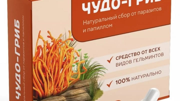 Чудо-Гриб - капсулы от паразитов — обзор и инструкция по применению — Фото 1