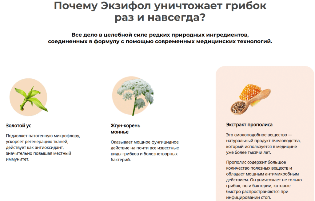 Экзифол - гель от грибка — обзор и инструкция по применению — Фото 4