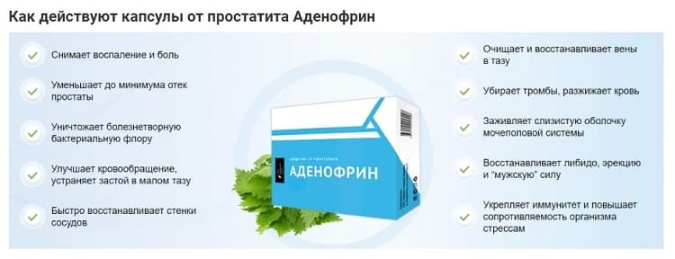Adenofrin - капсулы для потенции — обзор и инструкция по применению — Фото 4