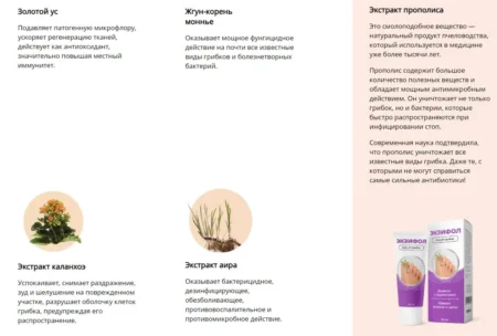 Экзифол - гель от грибка — обзор и инструкция по применению — Фото 5