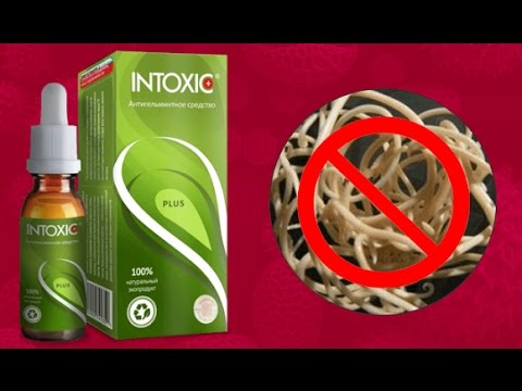 Intoxic Plus: Комплексная поддержка для здоровья пищеварения и чистоты организма — Фото 5