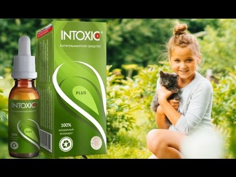 Intoxic Plus: Комплексная поддержка для здоровья пищеварения и чистоты организма — Фото 2