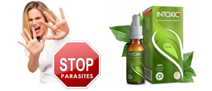 Intoxic Plus: Комплексная поддержка для здоровья пищеварения и чистоты организма — Фото 1