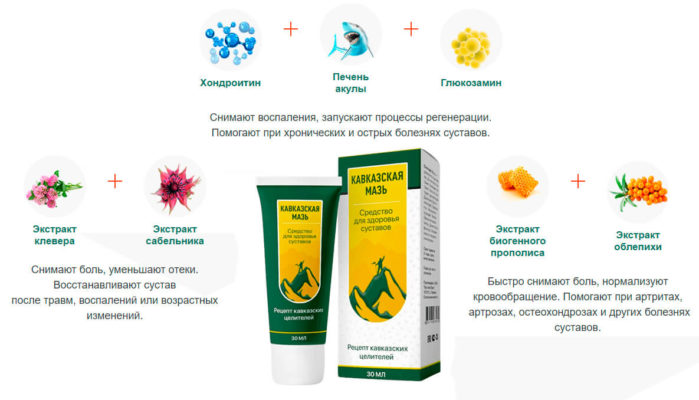 Кавказская мазь для суставов — обзор и инструкция по применению — Фото 1