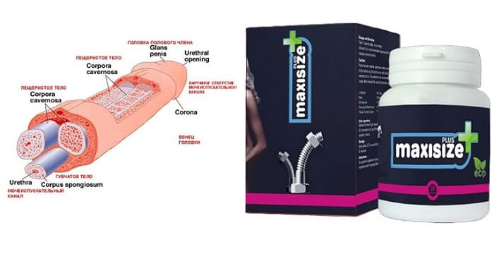 MaxiSize: Комплексный обзор геля для поддержки мужского здоровья — Фото 1